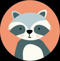 Raccoon