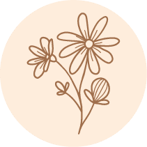 Dried Flowers