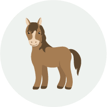 Horse2