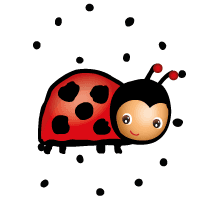 Ladybug