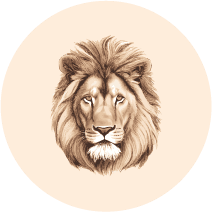 Lionhead_OK