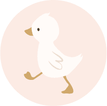 Little Goose