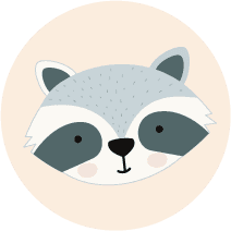 Raccoon
