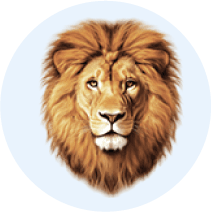 Real Lion