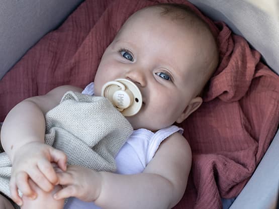 BIBS speen met naam