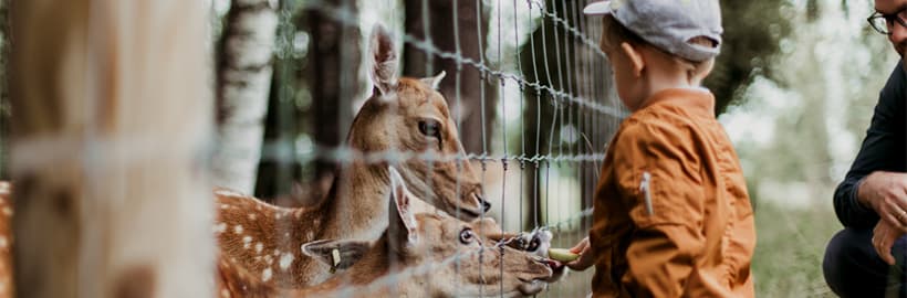 SOS armbanden: een klein hulpmiddel met grote impact voor ouder én kind