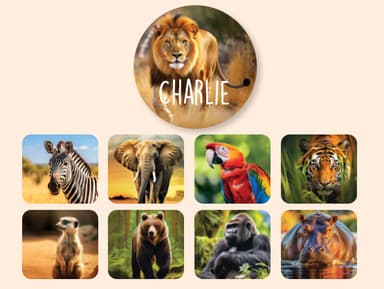 Ronde Real World Naamstickers