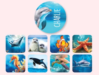 Ronde Real World Naamstickers